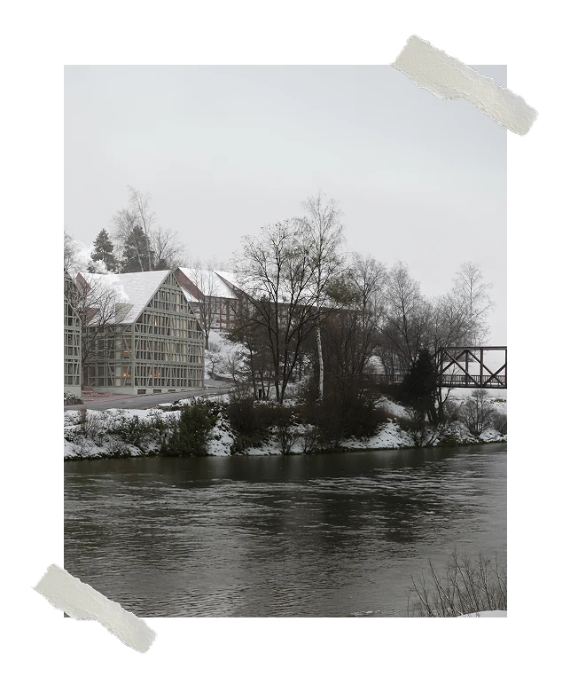 Snow Bridge